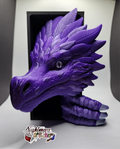 Feather Dragon Book Nook