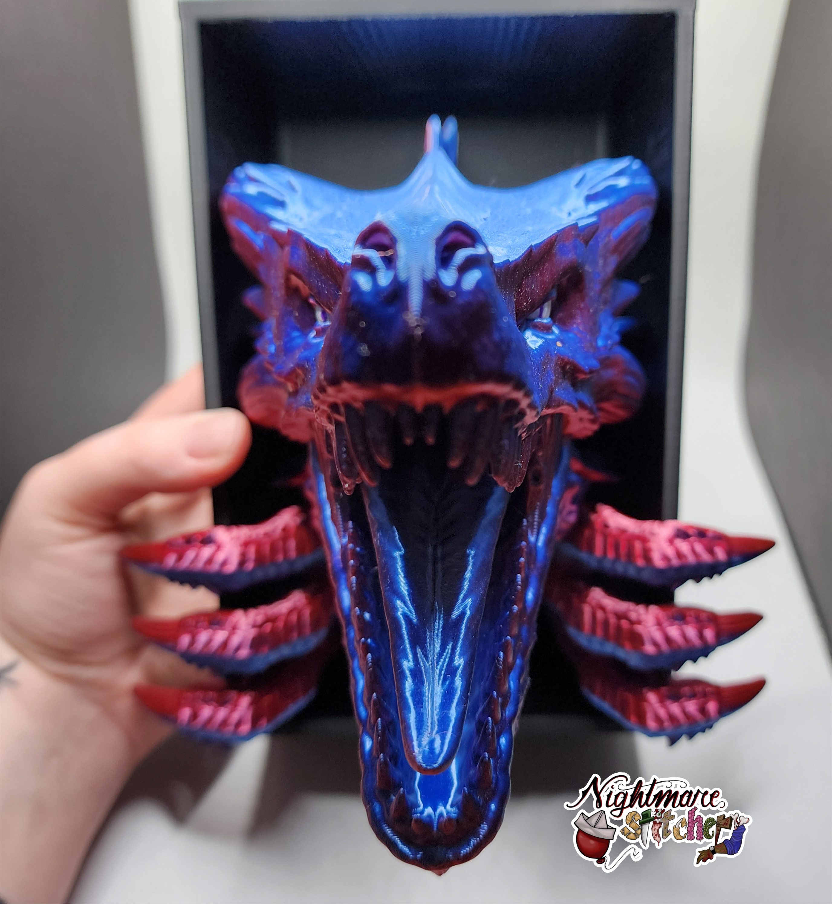 Awakening Dragon Book Nook